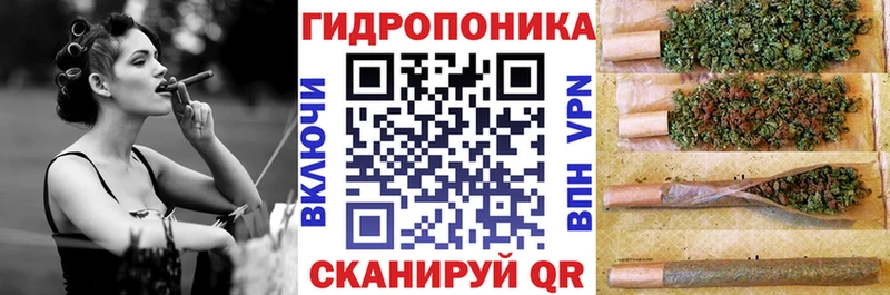 Шишки марихуана сатива  Бикин 